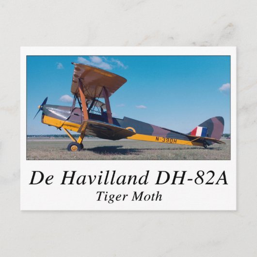 オウム127 ポストカード (正面)