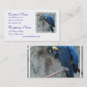 オウム23 名刺 (正面/裏面)