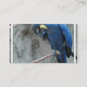 オウム23 名刺 (裏面)