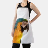 オウム エプロン (インサイチュ)