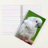 オウム，オウム，オウム ノートブック (内側)