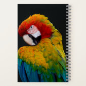 オウム，オウム，オウム ノートブック (裏面)