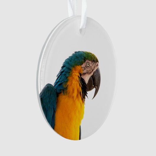 オウム オーナメント (正面)