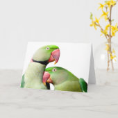 オウム カード (黄色い花)