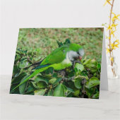 オウム カード (黄色い花)