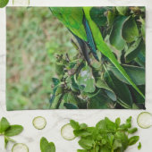 オウム キッチンタオル (折り畳み)