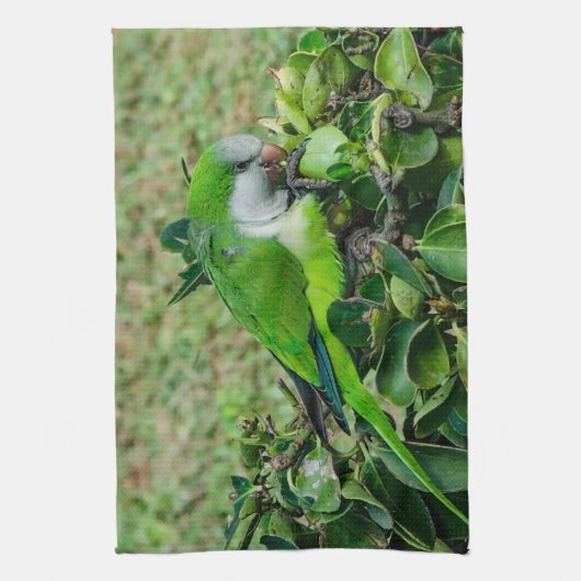 オウム キッチンタオル (縦)