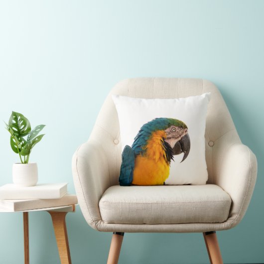 オウム クッション (椅子)