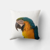 オウム クッション (裏面)