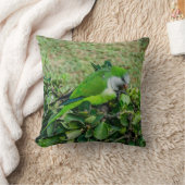 オウム クッション (ブランケット)