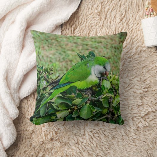 オウム クッション (ブランケット)