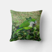 オウム クッション (裏面)