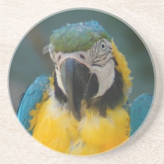 オウム コースター (正面)