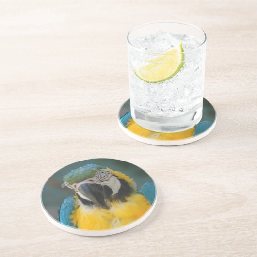 オウム コースター (側面)