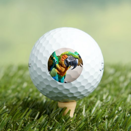 オウム ゴルフボール (インサイチュ 木)