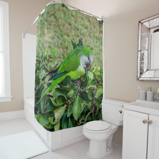 オウム シャワーカーテン (インサイチュ)