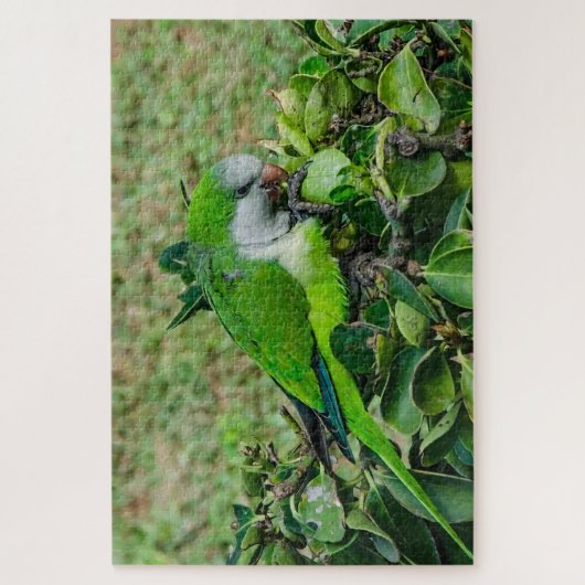 オウム ジグソーパズル (縦)