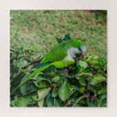 オウム ジグソーパズル (縦)