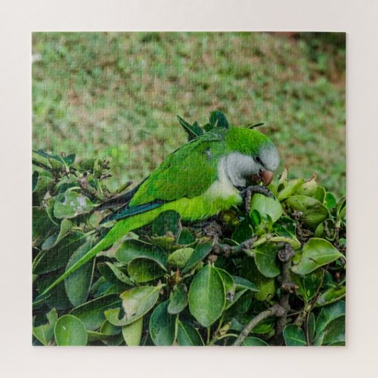 オウム ジグソーパズル (縦)