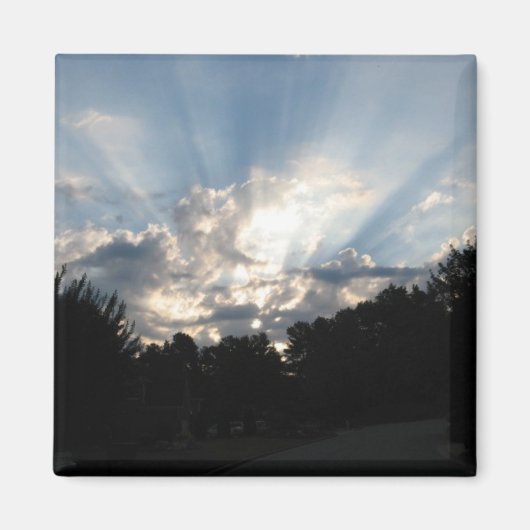 オウム – スカイマグネット マグネット (正面)