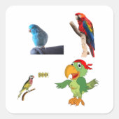 オウム スクエアシール (正面)