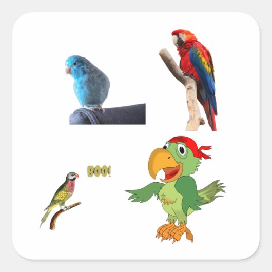 オウム スクエアシール (正面)