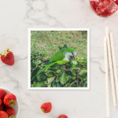 オウム スタンダードカクテルナプキン (インサイチュ)