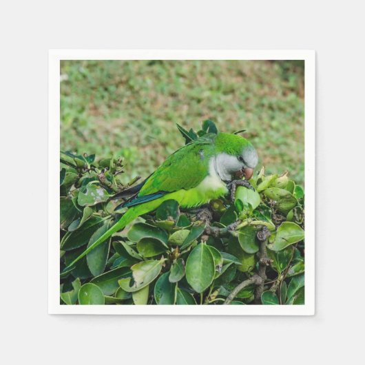 オウム スタンダードカクテルナプキン (正面)