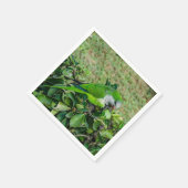 オウム スタンダードカクテルナプキン (角)