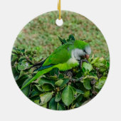 オウム セラミックオーナメント (裏面)