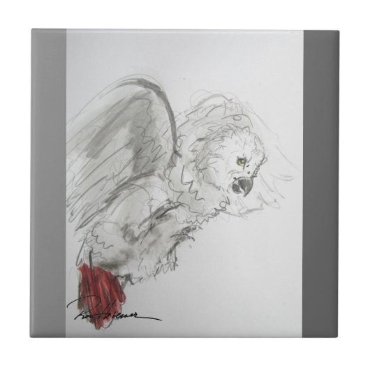 オウム タイル (正面)