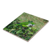 オウム タイル (側面)