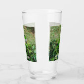 オウム タンブラーグラス (左)