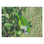 オウム テーブルクロス (正面(横))