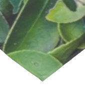 オウム テーブルクロス (アングル)