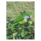 オウム テーブルクロス (正面)