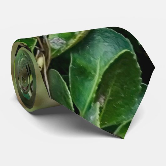 オウム ネクタイ (ロール)