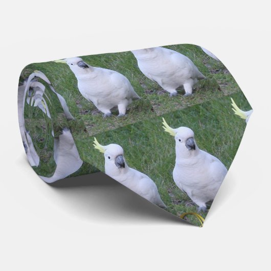 オウム ネクタイ (ロール)