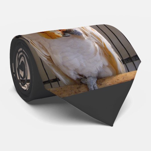 オウム ネクタイ (ロール)