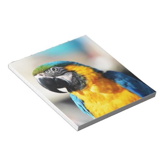 オウム ノートパッド (アングル)