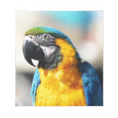 オウム ノートパッド (正面)