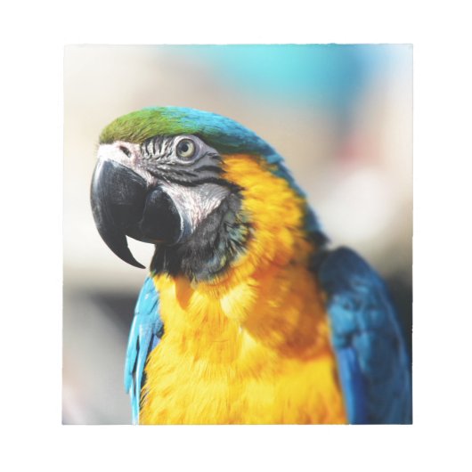 オウム ノートパッド (正面)