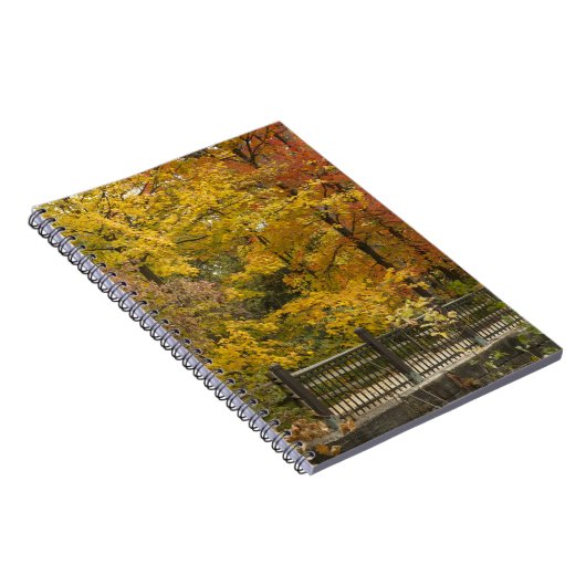 オウム ノートブック (右側)