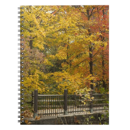 オウム ノートブック (正面)