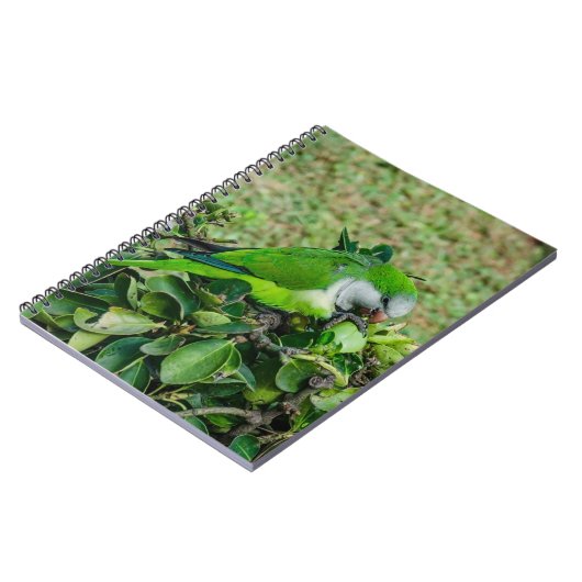 オウム ノートブック (左側)