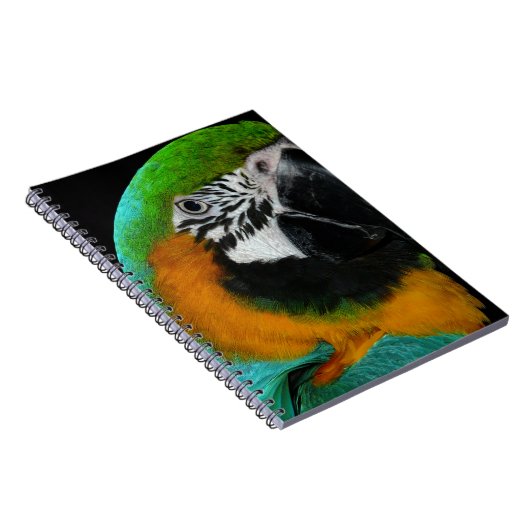 オウム ノートブック (右側)