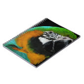 オウム ノートブック (左側)