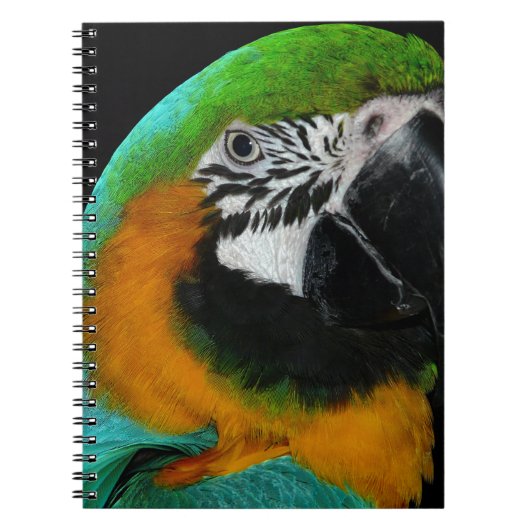 オウム ノートブック (正面)