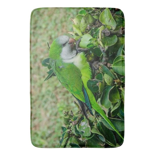 オウム バスマット (正面縦)