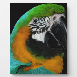 オウム フォトプラーク